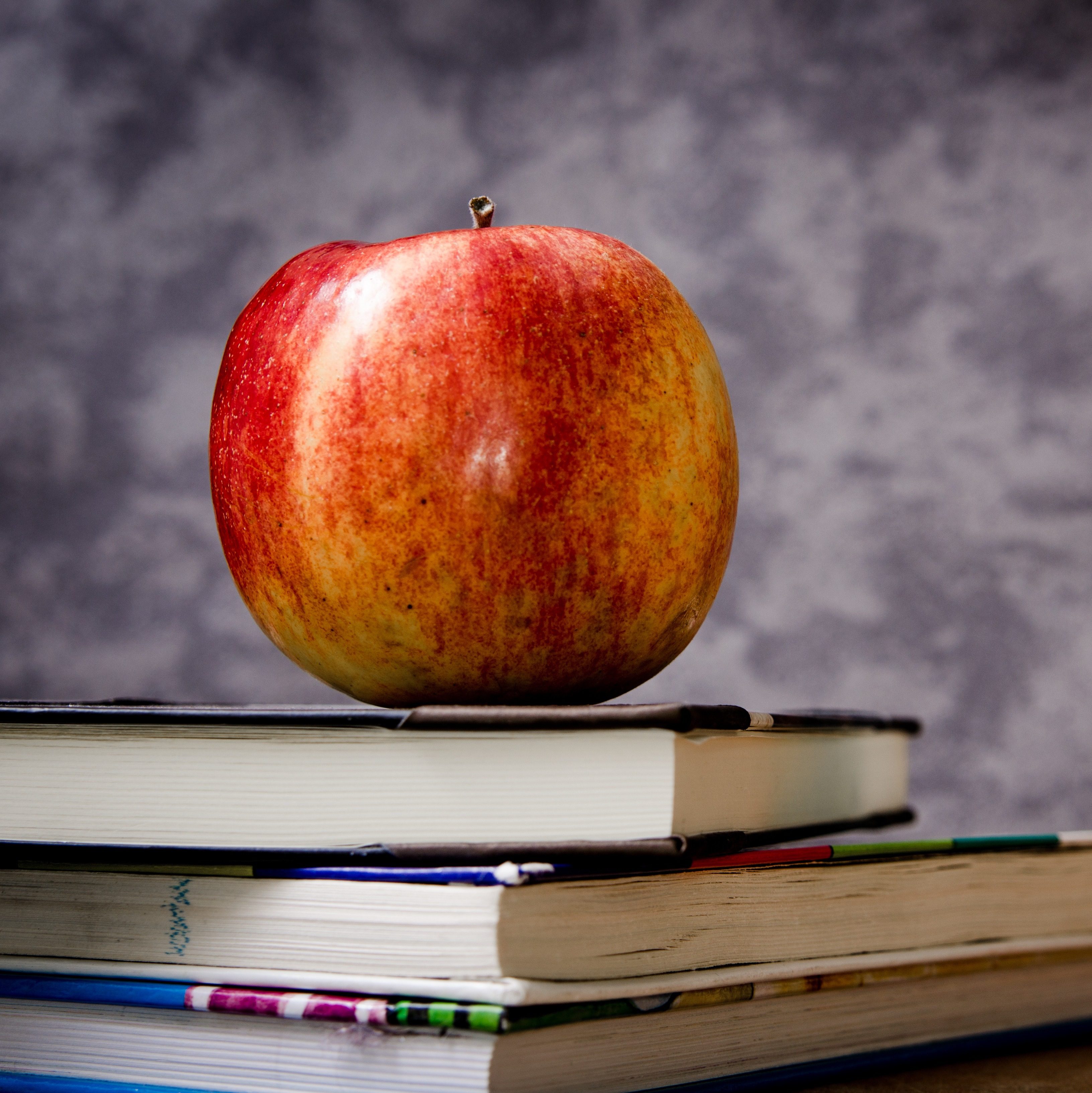 Education de Francois Duong